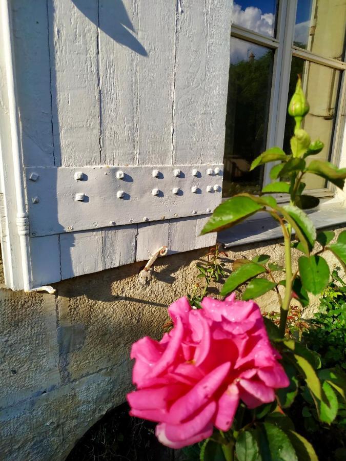Le Gîte du Trésor Montreuil-Bellay Extérieur photo